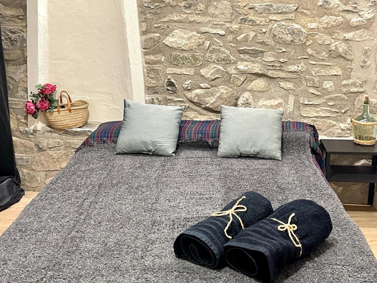 Apartamento Colgante Al Rio Con Vistas Al Puente Camprodon Exteriör bild