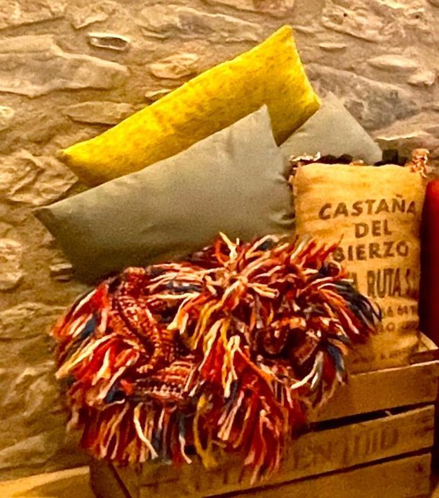 Apartamento Colgante Al Rio Con Vistas Al Puente Camprodon Exteriör bild